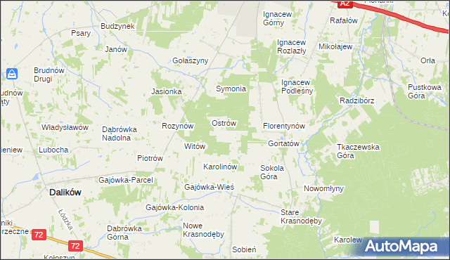 mapa Włodzimierzów gmina Dalików, Włodzimierzów gmina Dalików na mapie Targeo
