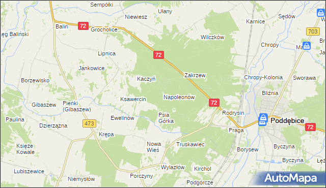 mapa Napoleonów gmina Poddębice, Napoleonów gmina Poddębice na mapie Targeo