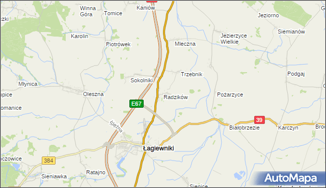 mapa Radzików gmina Łagiewniki, Radzików gmina Łagiewniki na mapie Targeo