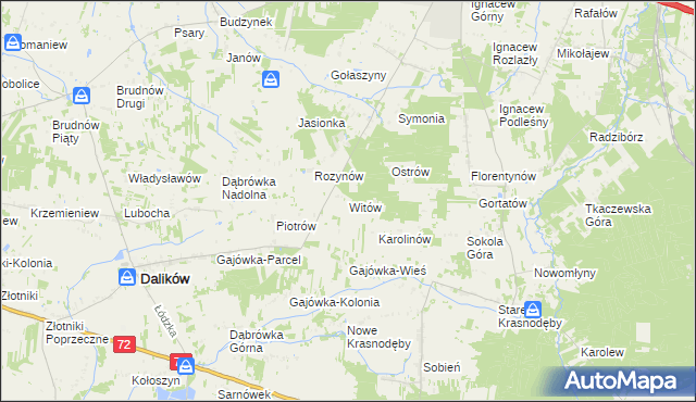 mapa Witów gmina Dalików, Witów gmina Dalików na mapie Targeo