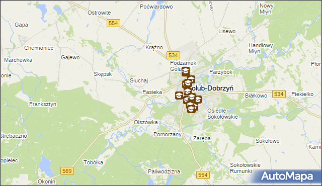 mapa Antoniewo gmina Golub-Dobrzyń, Antoniewo gmina Golub-Dobrzyń na mapie Targeo