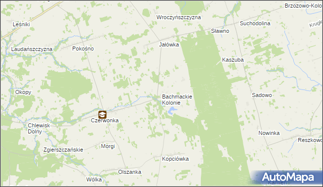 mapa Bachmackie Kolonie, Bachmackie Kolonie na mapie Targeo