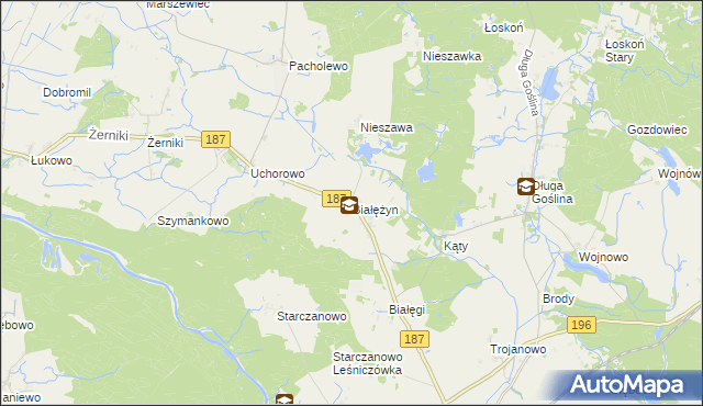 mapa Białężyn gmina Murowana Goślina, Białężyn gmina Murowana Goślina na mapie Targeo