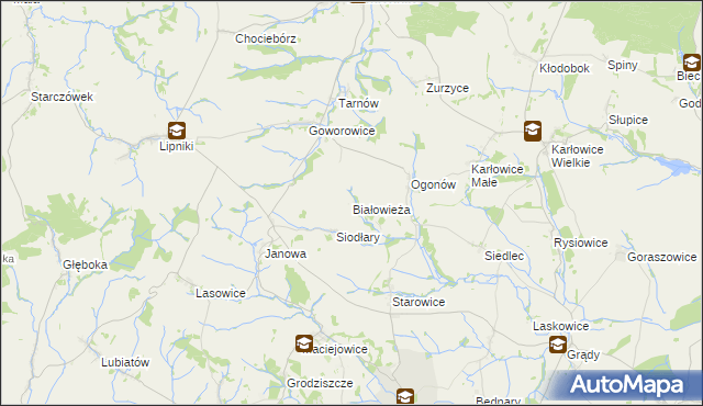 mapa Białowieża gmina Kamiennik, Białowieża gmina Kamiennik na mapie Targeo