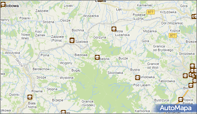 mapa Bieśnik gmina Łużna, Bieśnik gmina Łużna na mapie Targeo