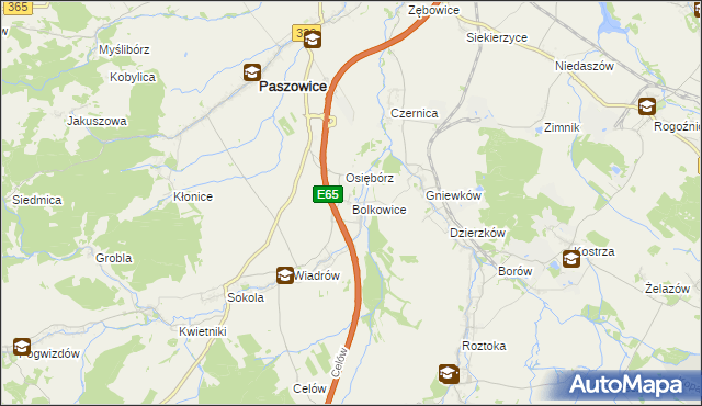 mapa Bolkowice gmina Paszowice, Bolkowice gmina Paszowice na mapie Targeo