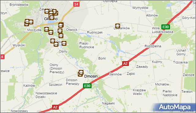 mapa Borki gmina Dmosin, Borki gmina Dmosin na mapie Targeo