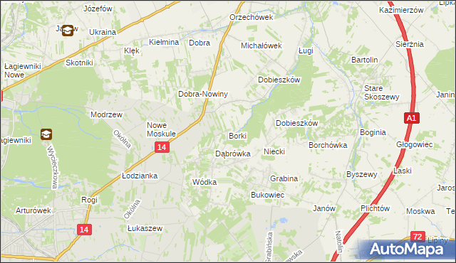mapa Borki gmina Nowosolna, Borki gmina Nowosolna na mapie Targeo