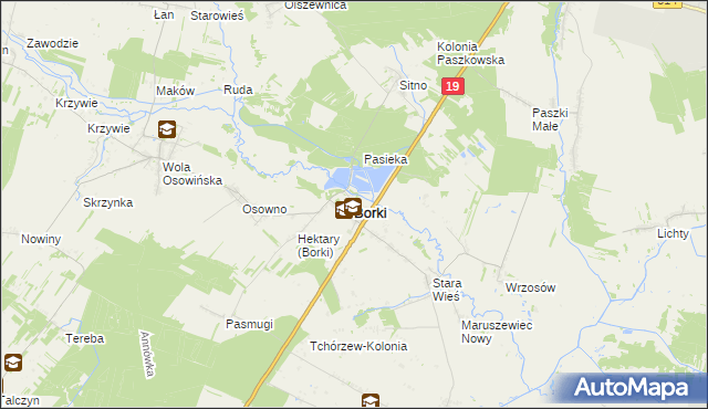 mapa Borki powiat radzyński, Borki powiat radzyński na mapie Targeo