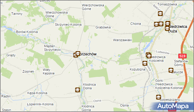 mapa Borzechów-Kolonia, Borzechów-Kolonia na mapie Targeo