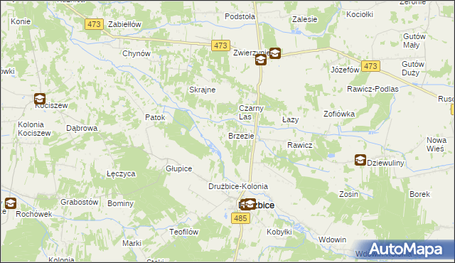 mapa Brzezie gmina Drużbice, Brzezie gmina Drużbice na mapie Targeo