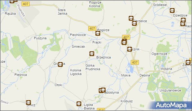 mapa Brzeźnica gmina Biała, Brzeźnica gmina Biała na mapie Targeo