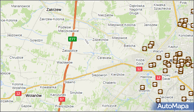 mapa Cerekiew gmina Zakrzew, Cerekiew gmina Zakrzew na mapie Targeo