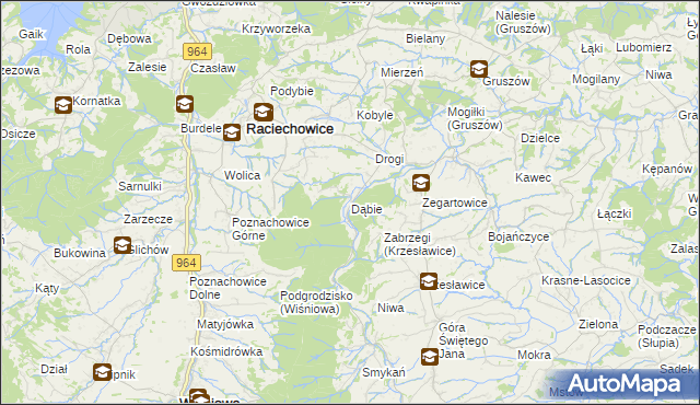 mapa Dąbie gmina Raciechowice, Dąbie gmina Raciechowice na mapie Targeo