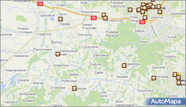 mapa Dąbrowica gmina Bochnia, Dąbrowica gmina Bochnia na mapie Targeo