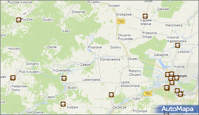 mapa Domaniewice gmina Wolbrom, Domaniewice gmina Wolbrom na mapie Targeo