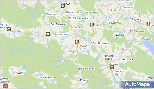 mapa Florynka, Florynka na mapie Targeo