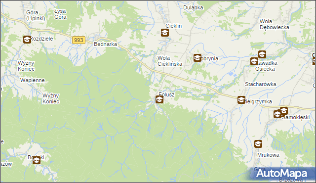 mapa Folusz gmina Dębowiec, Folusz gmina Dębowiec na mapie Targeo