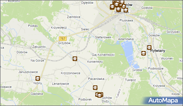 mapa Gaj Koniemłocki, Gaj Koniemłocki na mapie Targeo