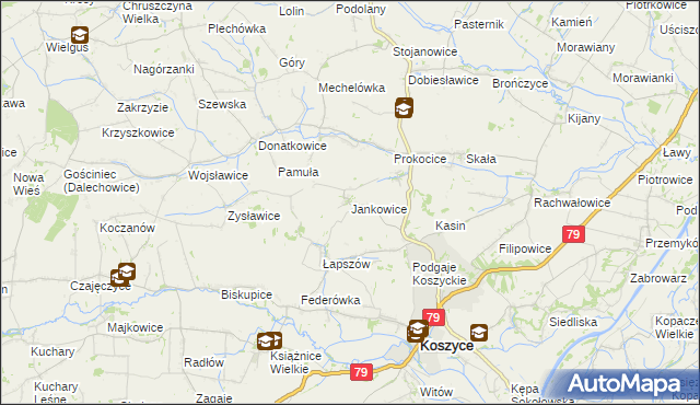 mapa Jankowice gmina Koszyce, Jankowice gmina Koszyce na mapie Targeo