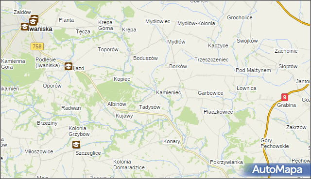 mapa Kamieniec gmina Iwaniska, Kamieniec gmina Iwaniska na mapie Targeo