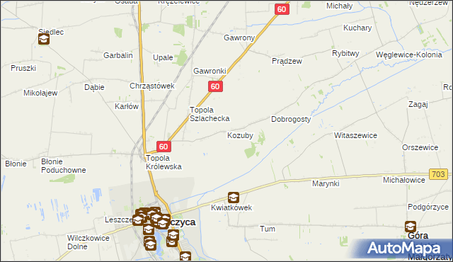 mapa Kozuby gmina Łęczyca, Kozuby gmina Łęczyca na mapie Targeo