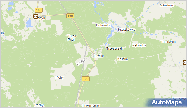 mapa Lewice gmina Międzychód, Lewice gmina Międzychód na mapie Targeo