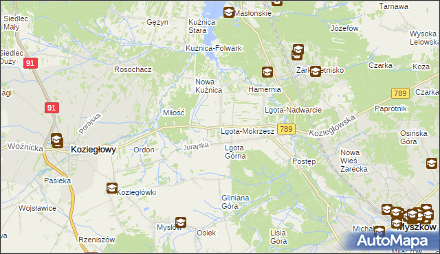 mapa Lgota-Mokrzesz, Lgota-Mokrzesz na mapie Targeo