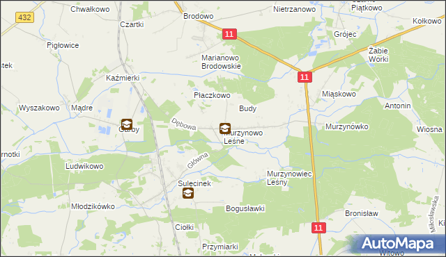 mapa Murzynowo Leśne, Murzynowo Leśne na mapie Targeo