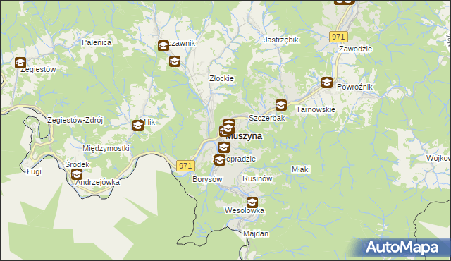 mapa Muszyna, Muszyna na mapie Targeo