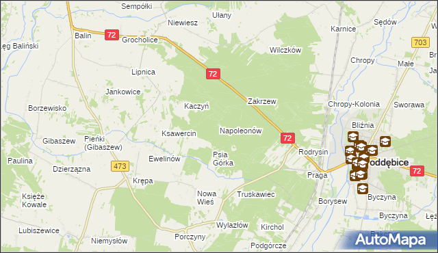 mapa Napoleonów gmina Poddębice, Napoleonów gmina Poddębice na mapie Targeo
