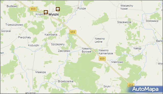 mapa Niewino Borowe, Niewino Borowe na mapie Targeo