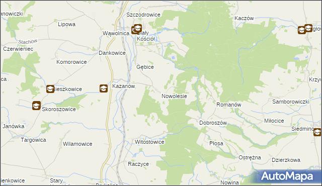 mapa Nowolesie, Nowolesie na mapie Targeo