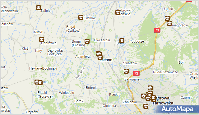 mapa Olesno powiat dąbrowski, Olesno powiat dąbrowski na mapie Targeo