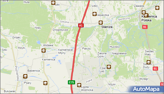 mapa Pakuły gmina Woźniki, Pakuły gmina Woźniki na mapie Targeo