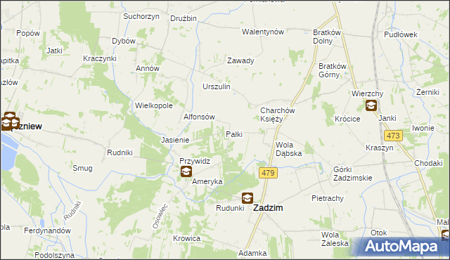 mapa Pałki gmina Zadzim, Pałki gmina Zadzim na mapie Targeo
