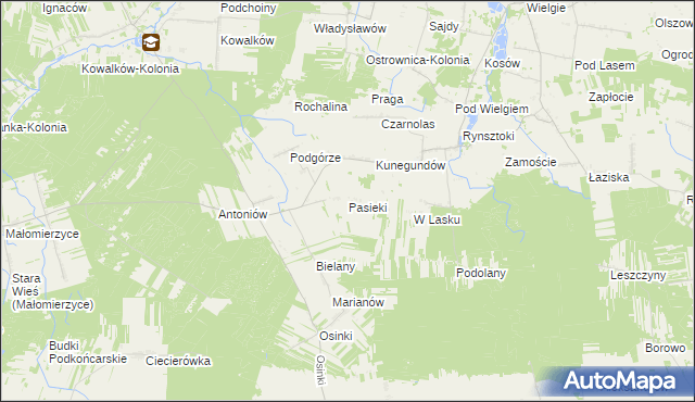 mapa Pasieki gmina Ciepielów, Pasieki gmina Ciepielów na mapie Targeo