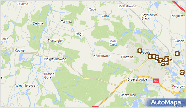 mapa Roszkowice gmina Niemodlin, Roszkowice gmina Niemodlin na mapie Targeo