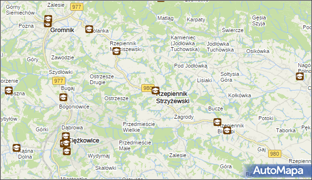 mapa Rzepiennik Strzyżewski, Rzepiennik Strzyżewski na mapie Targeo