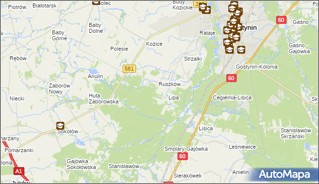 mapa Sałki gmina Gostynin, Sałki gmina Gostynin na mapie Targeo
