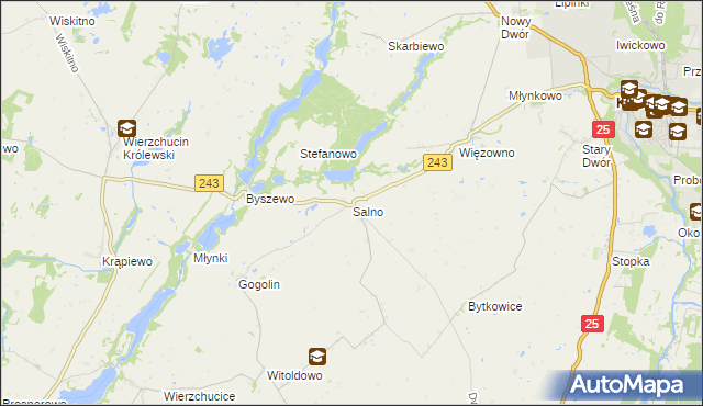 mapa Salno gmina Koronowo, Salno gmina Koronowo na mapie Targeo