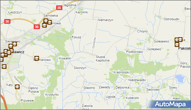 mapa Słupia Kapitulna, Słupia Kapitulna na mapie Targeo