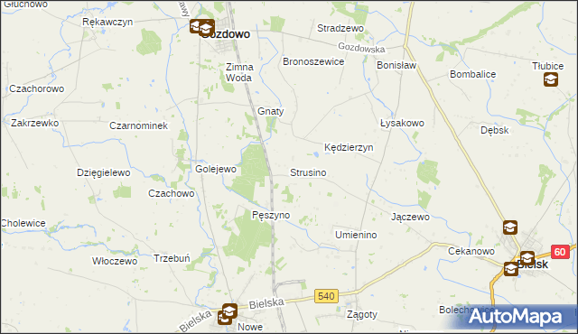 mapa Strusino, Strusino na mapie Targeo