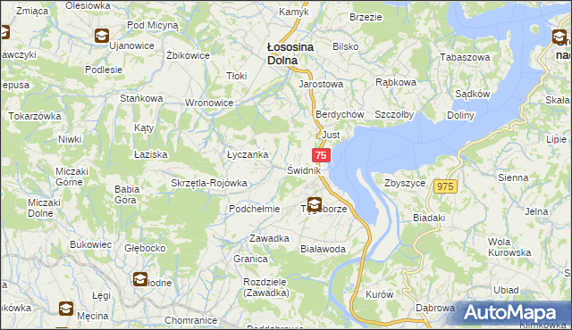 mapa Świdnik gmina Łososina Dolna, Świdnik gmina Łososina Dolna na mapie Targeo