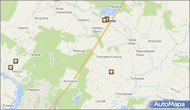 mapa Tchórzew-Kolonia, Tchórzew-Kolonia na mapie Targeo