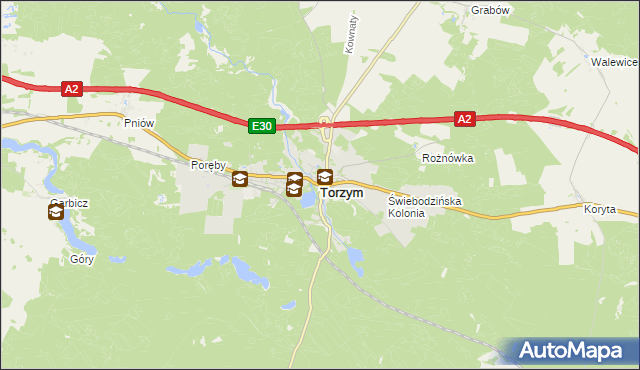 mapa Torzym, Torzym na mapie Targeo