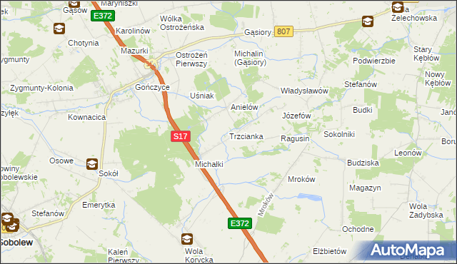 mapa Trzcianka gmina Sobolew, Trzcianka gmina Sobolew na mapie Targeo