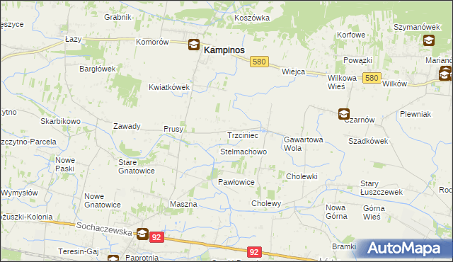 mapa Trzciniec gmina Leszno, Trzciniec gmina Leszno na mapie Targeo