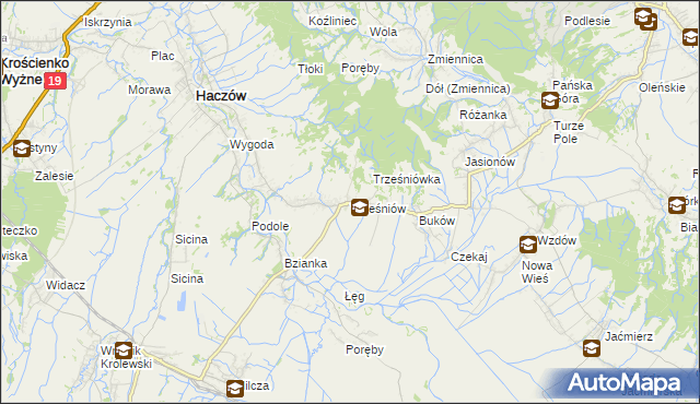 mapa Trześniów gmina Haczów, Trześniów gmina Haczów na mapie Targeo