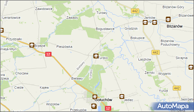 mapa Tursko gmina Gołuchów, Tursko gmina Gołuchów na mapie Targeo